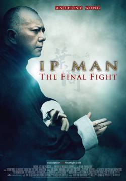 Ip Man: The Final Fight