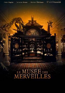 La stanza delle meraviglie