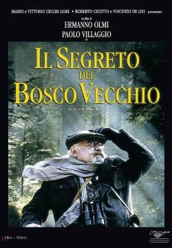 Il segreto del bosco vecchio