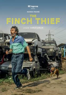 Il Ladro di Cardellini