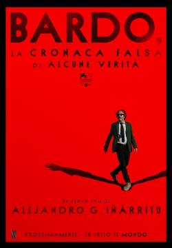BARDO, la cronaca falsa di alcune verità