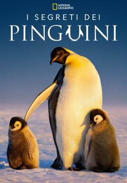 I segreti dei pinguini - Stagione 1