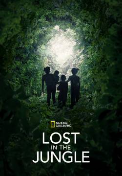 Lost in the Jungle