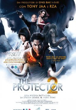 The Protector 2