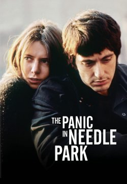 Panico a Needle Park