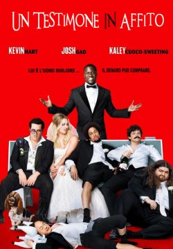 The Wedding Ringer - Un testimone in affitto