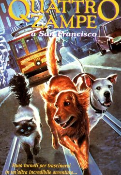 Quattro Zampe A San Francisco