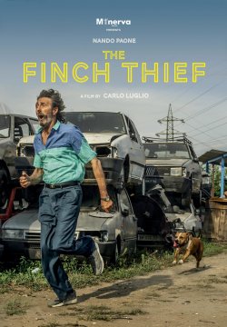 Il Ladro di Cardellini