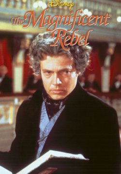 Il magnifico ribelle