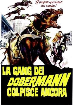 La gang dei doberman colpisce ancora