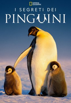 I segreti dei pinguini - Stagione 1