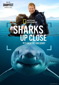 Sharks Up Close with Bertie Gregory