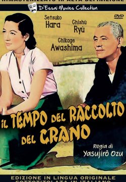 Il tempo del raccolto del grano